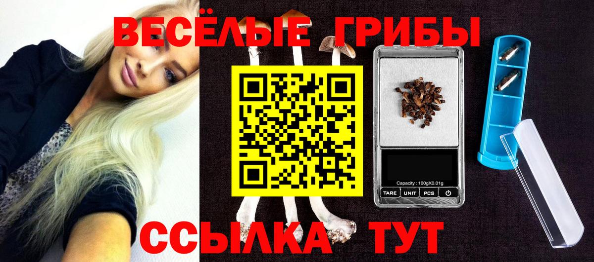 закладка  Галлюциногенные грибы Magic Shrooms  Вход с VPN  Екатеринбург 