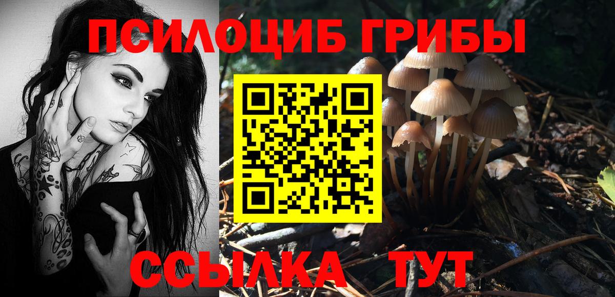 Галлюциногенные грибы GOLDEN TEACHER Екатеринбург